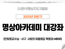 16강 서구 사회의 마음챙김 혁명과 MBSR1 (안희영교수님)