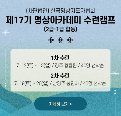 팝업